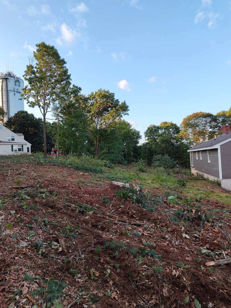 Lot Clearing and Tree Removal in Billerica, MA.