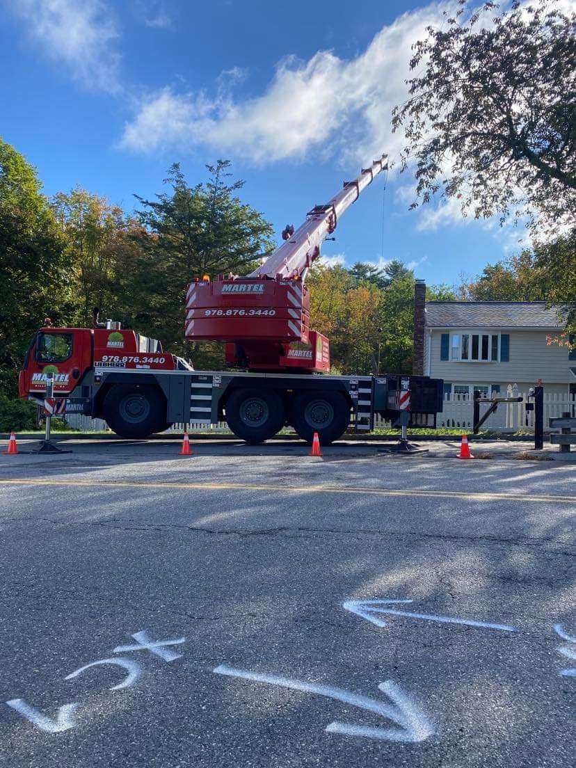 Tree Removal Service in Burlington, MA.