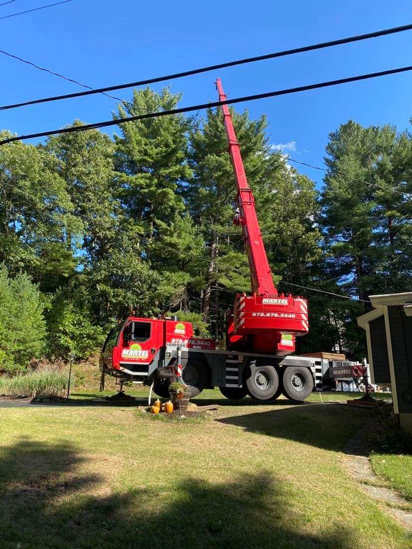 Tree Removal in Billerica, MA.