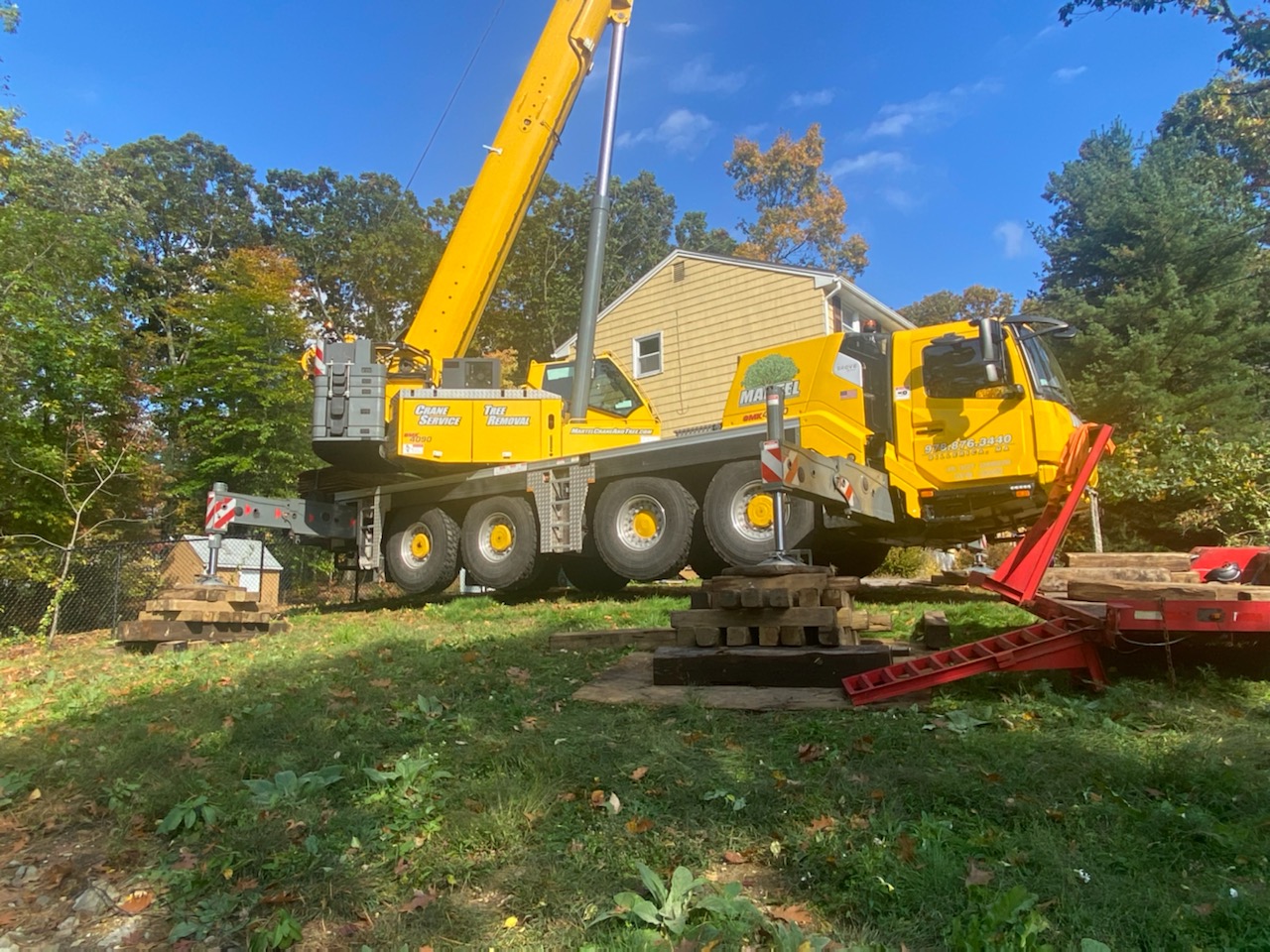 Tree Service and Removal in Billerica, MA.