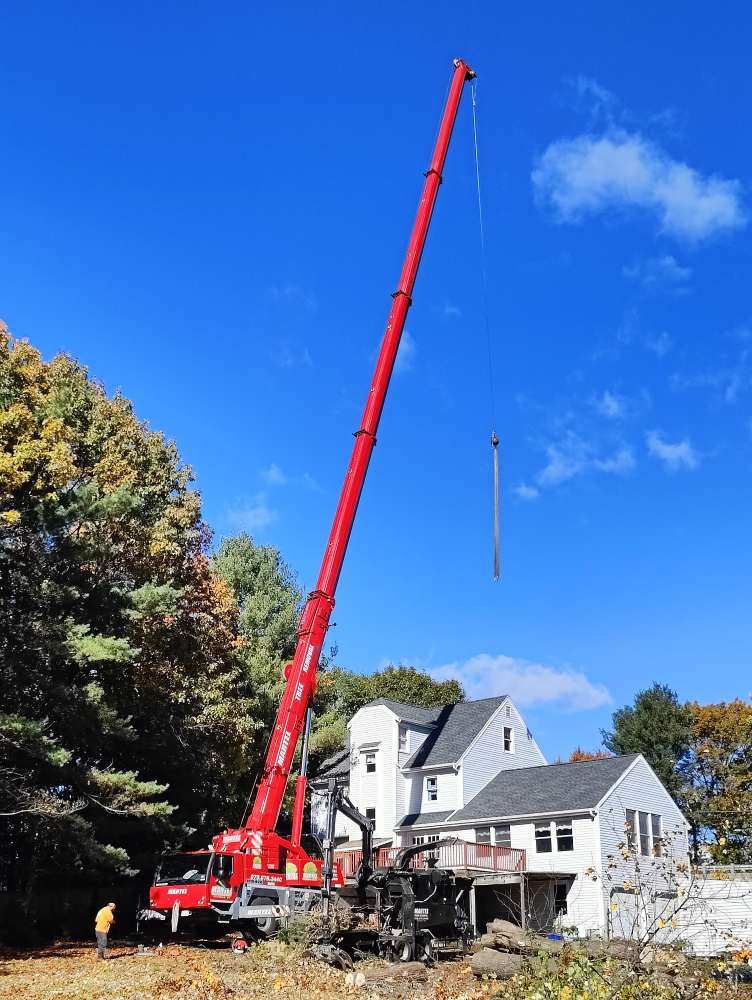 Tree Removal Service in Andover, MA