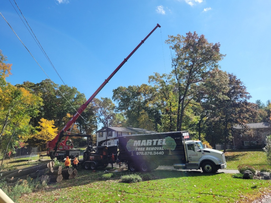 Tree Removal Service in Chelmsford, MA.