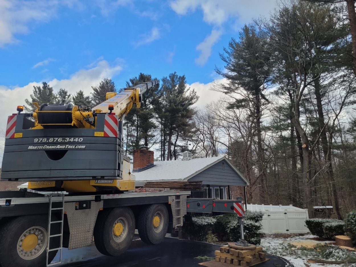 Tree Removal and Crane Service in Billerica, MA.

