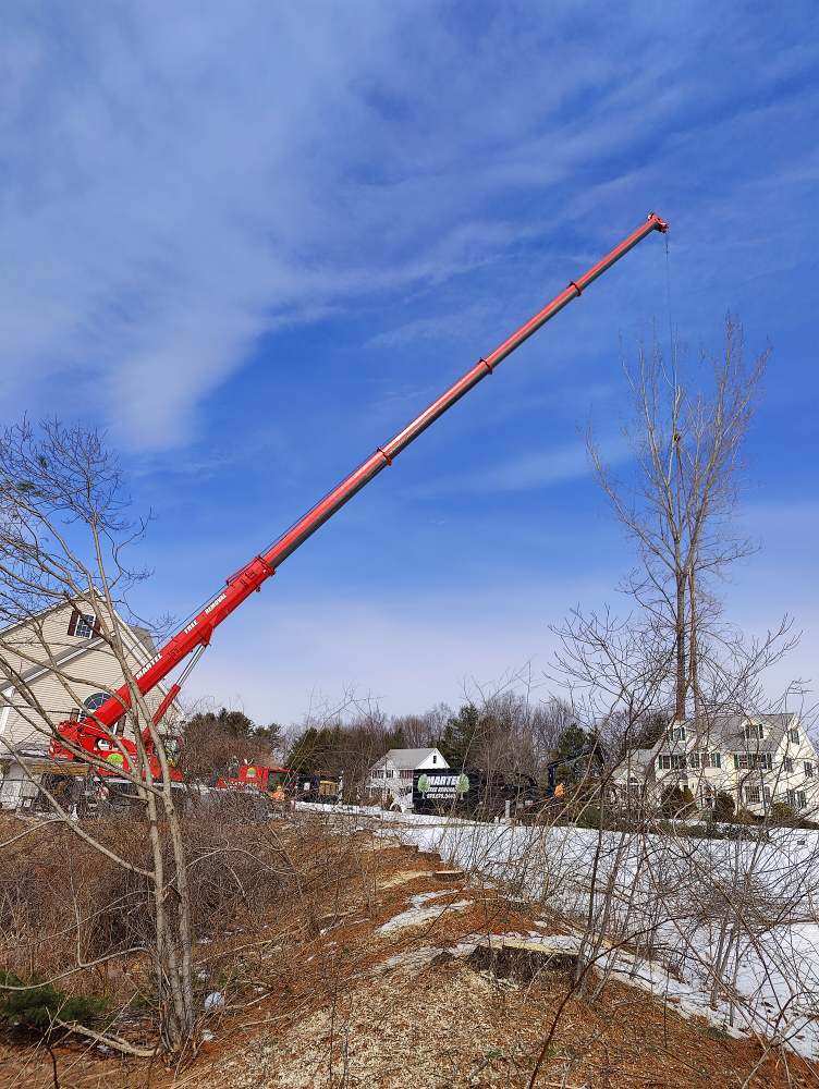 Tree Removal and Crane Service in North Billerica, MA.

