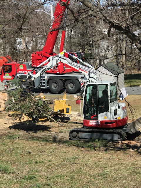 The crew from Martel Crane & Tree removed several large hardwoods at this residence in Billerica, MA.

