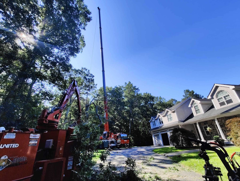 Martel Crane & Tree removed multiple trees at this property in Dracut, MA.

