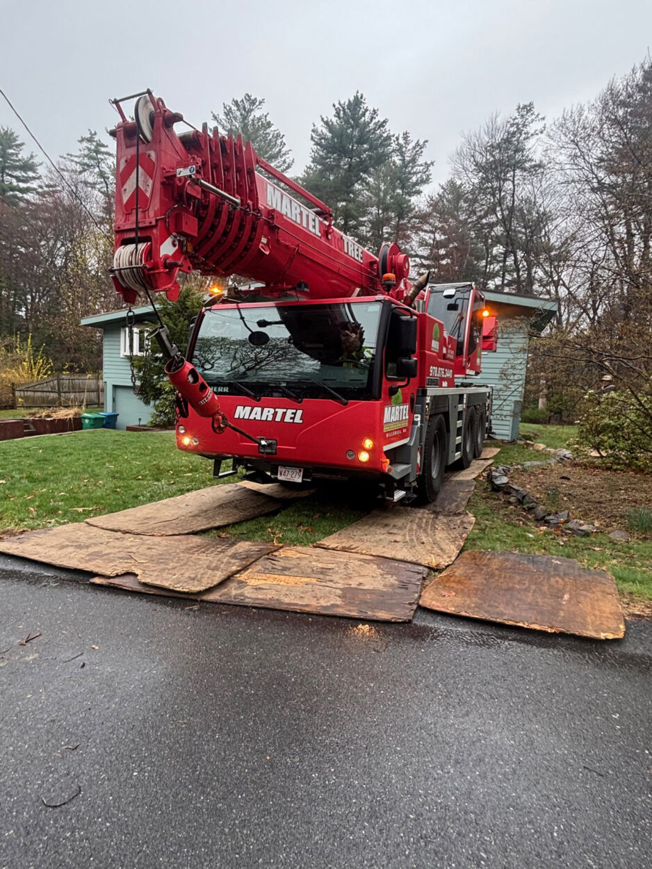 Tree Removal & Crane Service in Burlington, MA by Martel Crane Service & Tree Removal