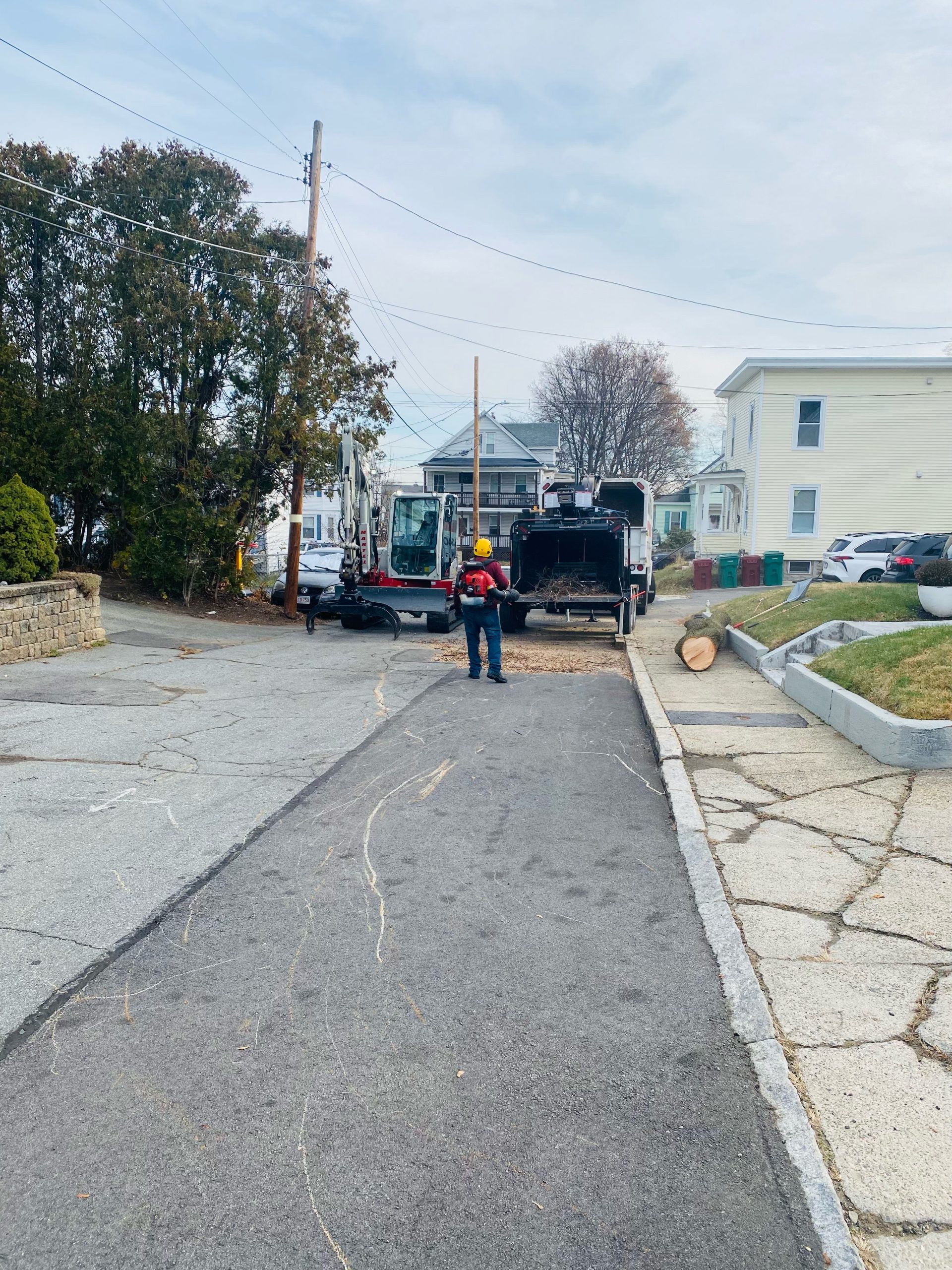 Tree Removal and Crane Service in Lowell, MA.