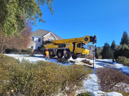 We setup the 100 ton crane in the snow to safely remove trees from this residence in Wayland, MA.