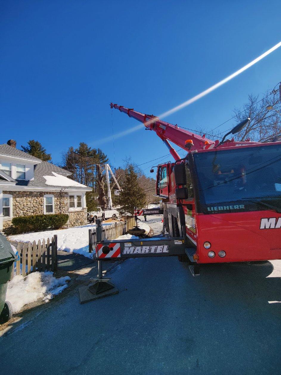 Tree Removal Service in Dracut, MA