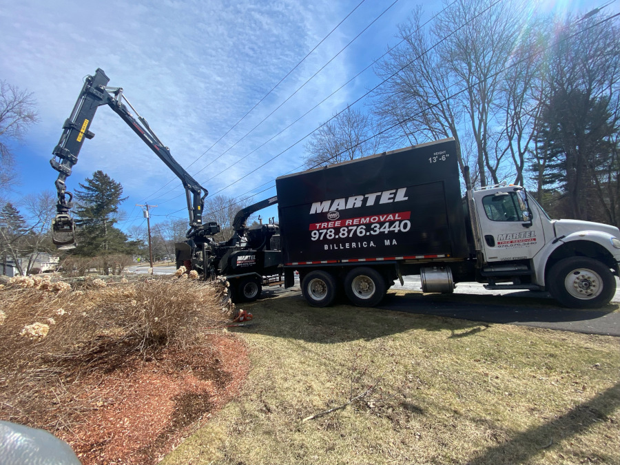  Tree Removal Service in Billerica, MA