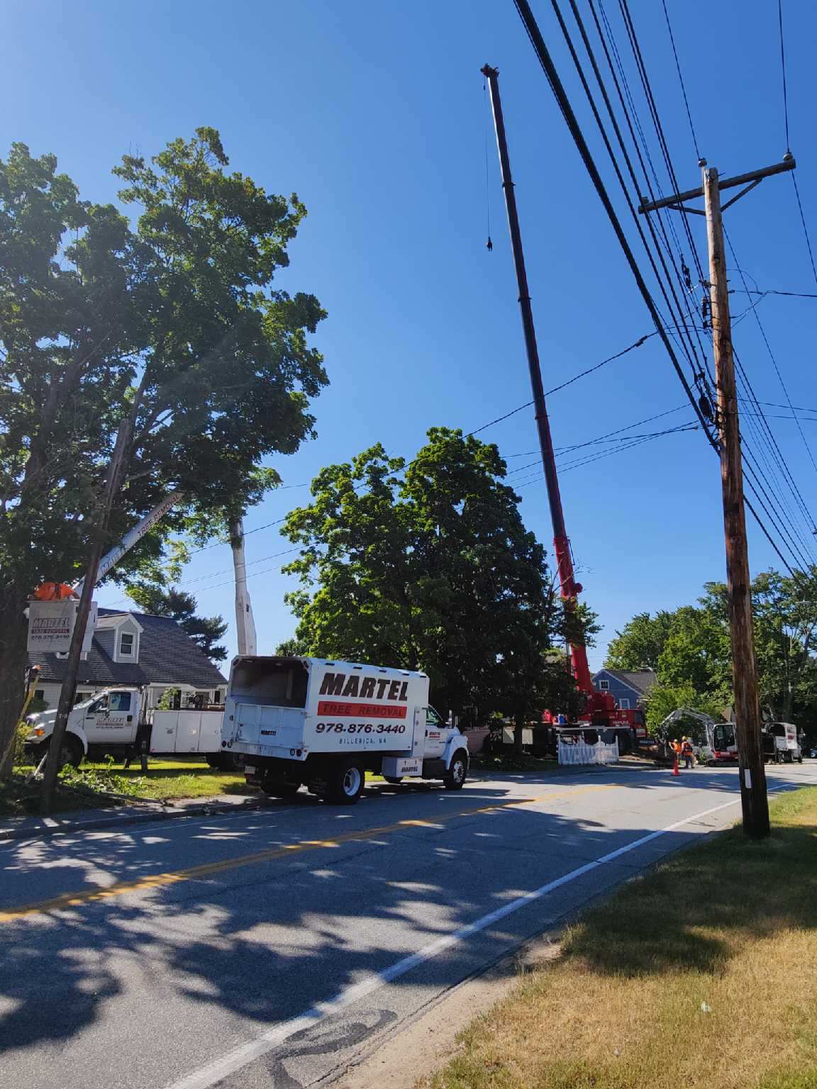 Tree Removal Service in Chelmsford, MA