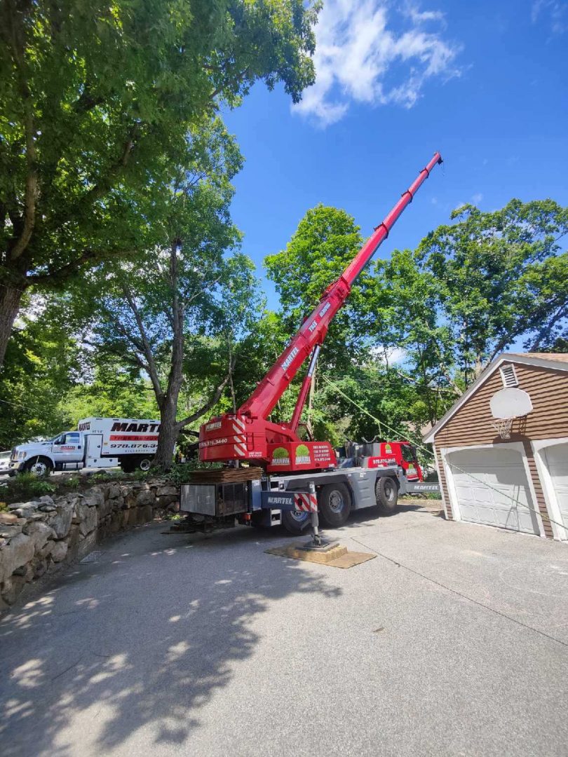 Tree Removal and Tree Service in Andover, MA