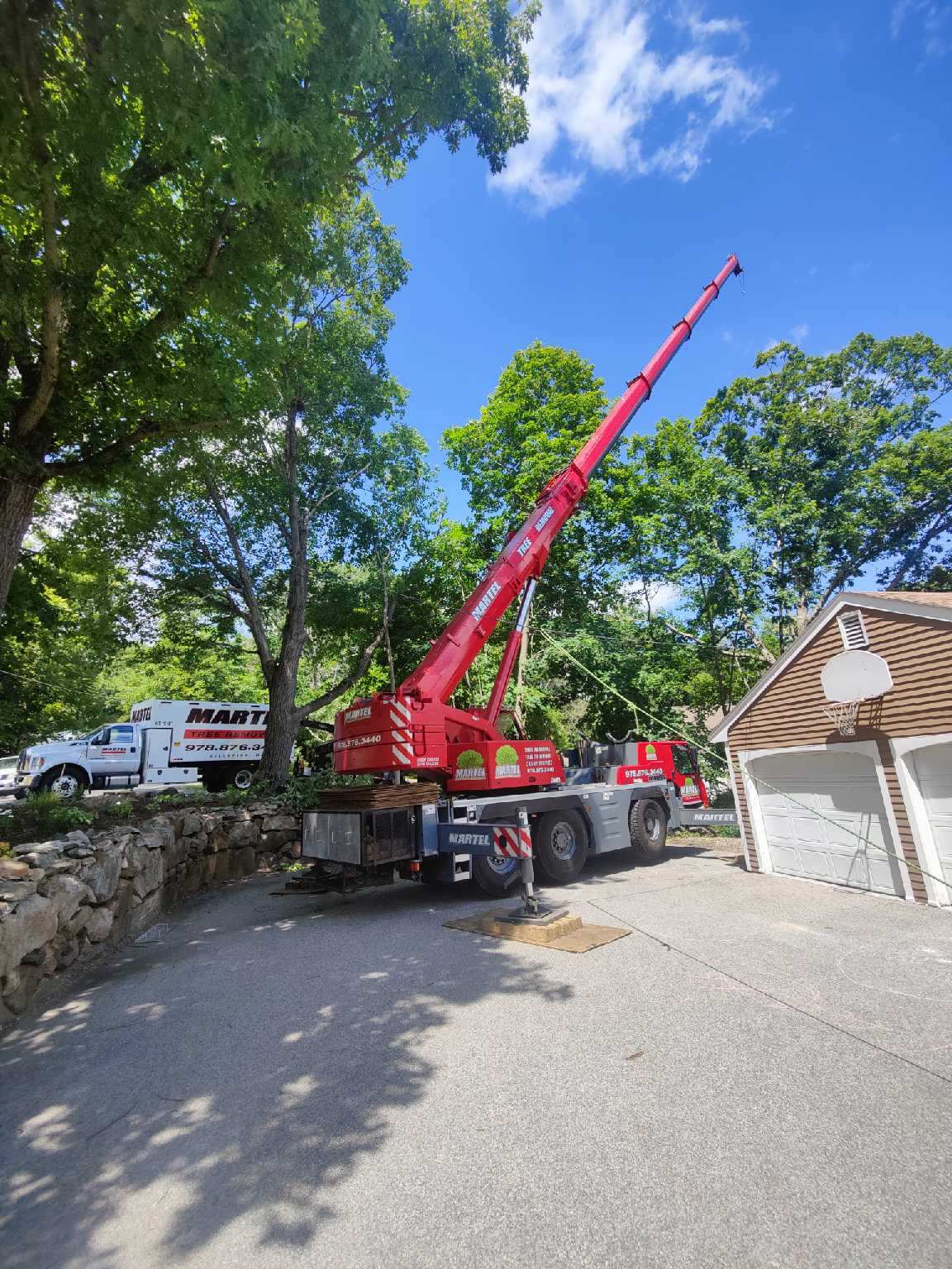 The crane and crew safely removed multiple trees from this property in Andover, MA.