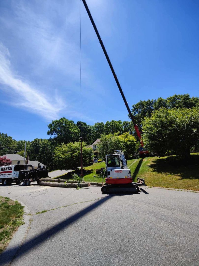 Tree Service and Removal in Tewksbury, MA