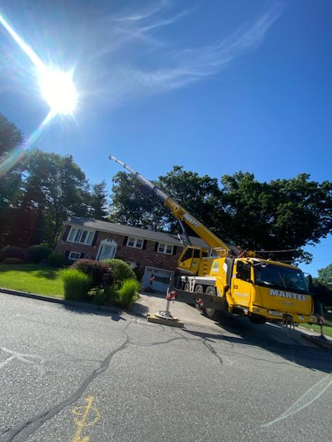 Tree Removal Service in Billerica, MA.