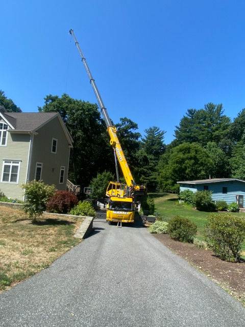 Tree Removal Service in Chelmsford, MA