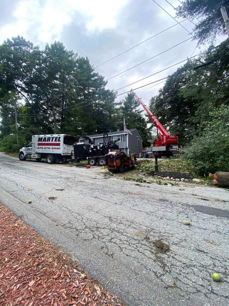 Tree Removal and Crane Service in North Billerica, MA.