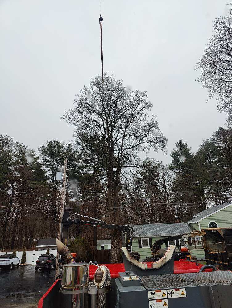 Martel Crane and Tree removed trees from this residential property in Tewksbury, MA.
