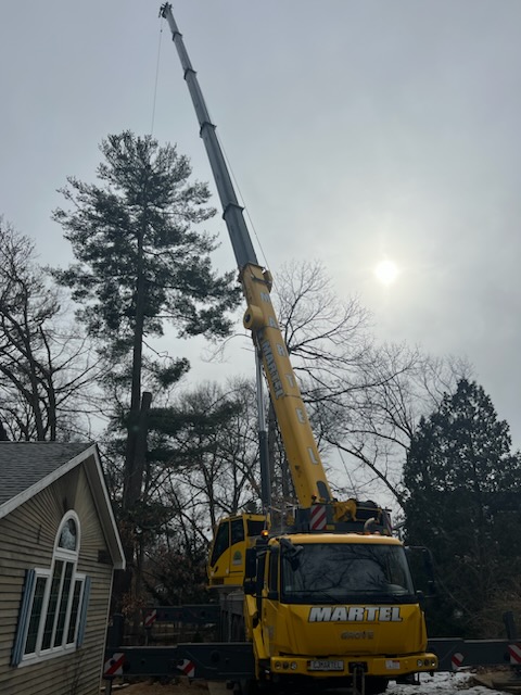 Martel Crane and Tree Service removed large trees from this property in Westford, MA. 