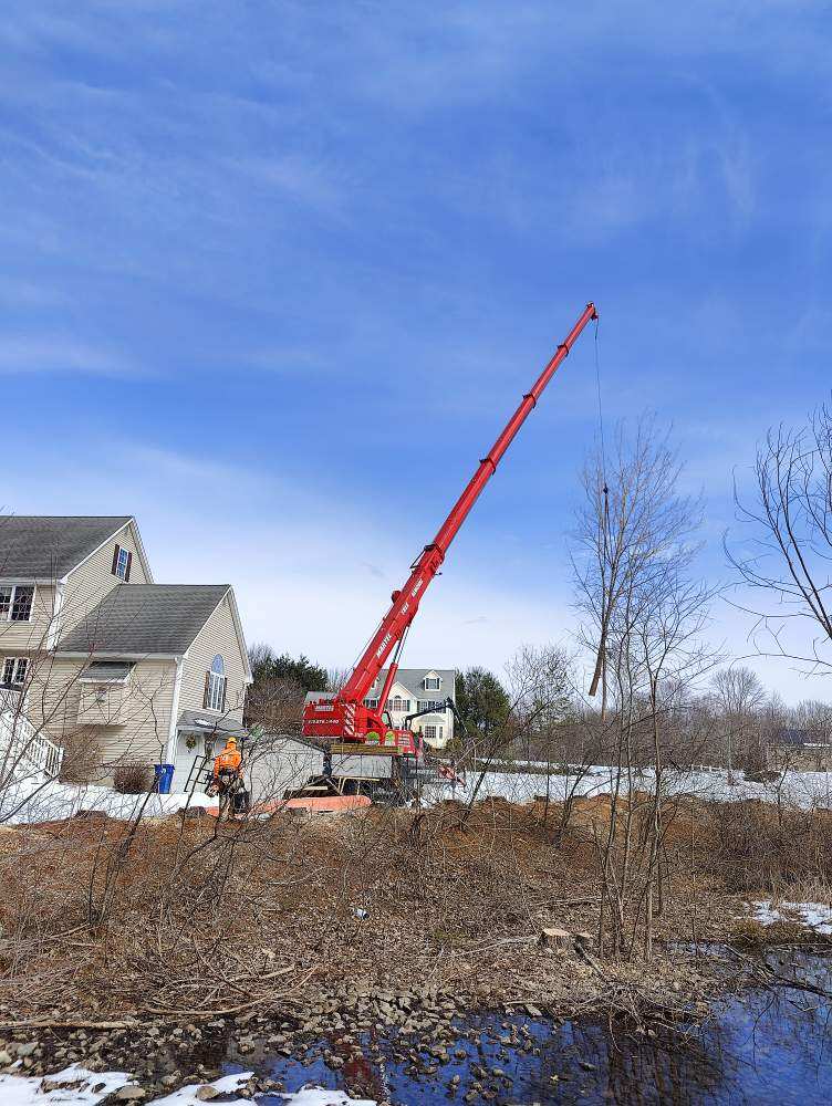 Tree Removal and Crane Service in North Billerica, MA.

