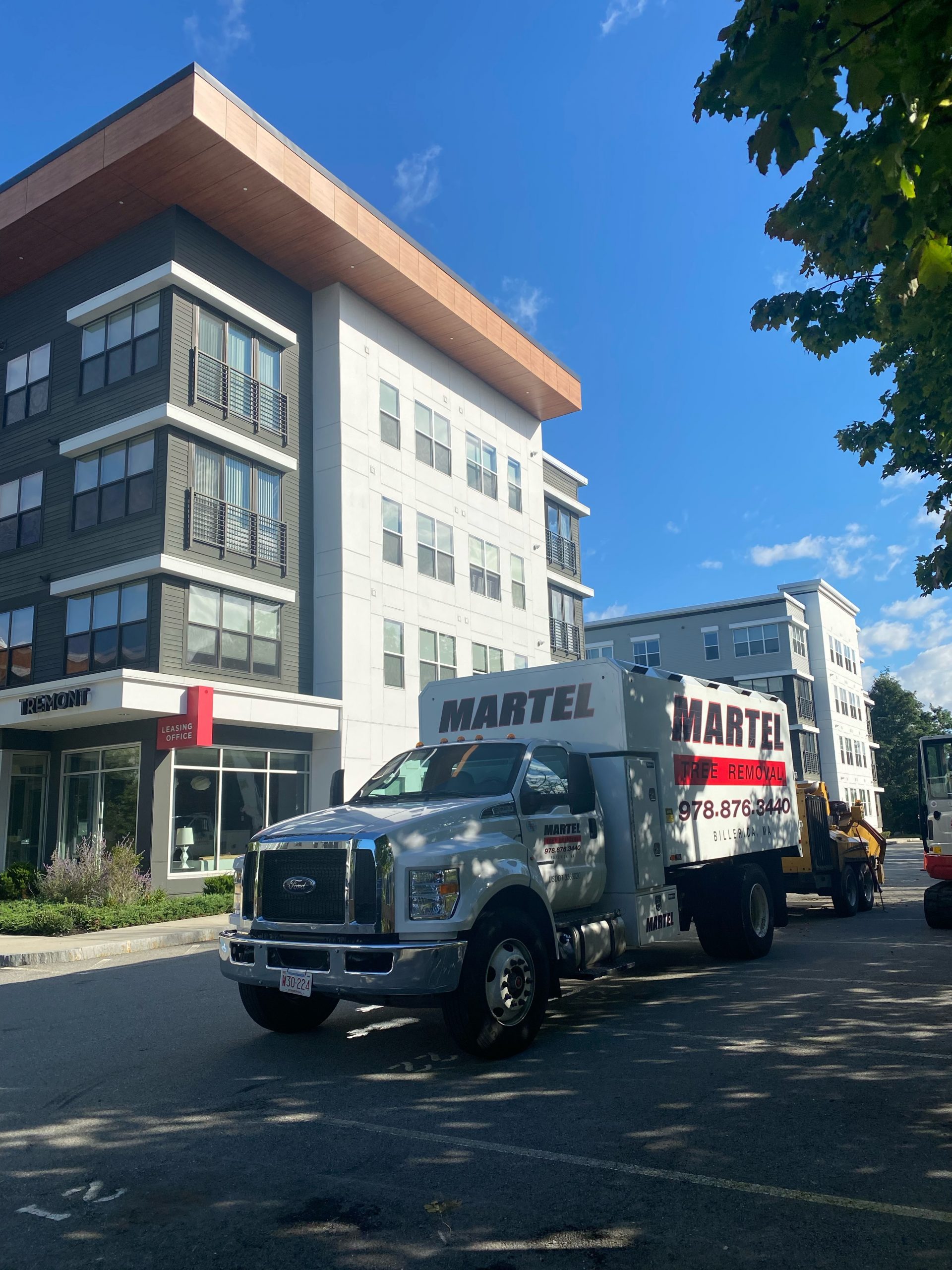 Commercial Tree Removal and Tree Service in Burlington, MA