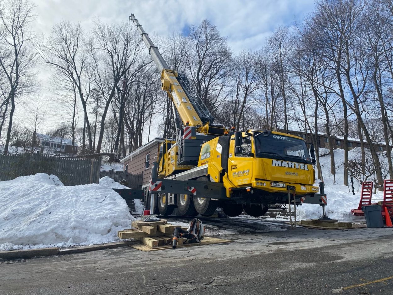 Tree Service and Removal in Lowell, MA.