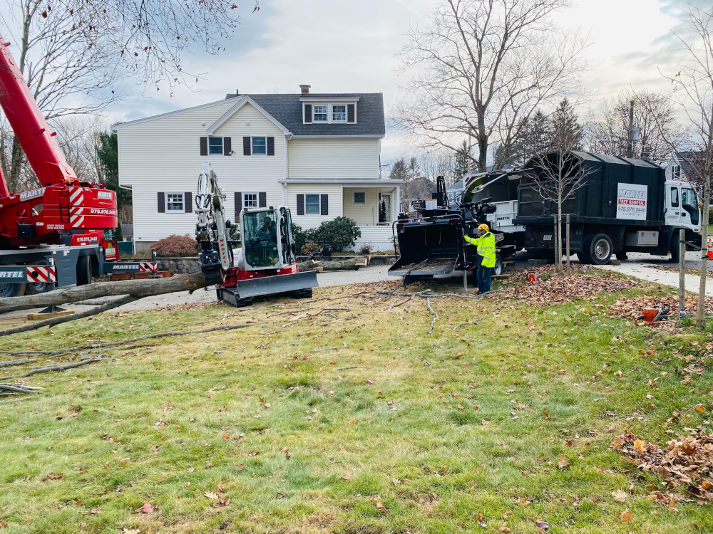 The new red crane and crew removed multiple trees at this location in Bedford, MA.