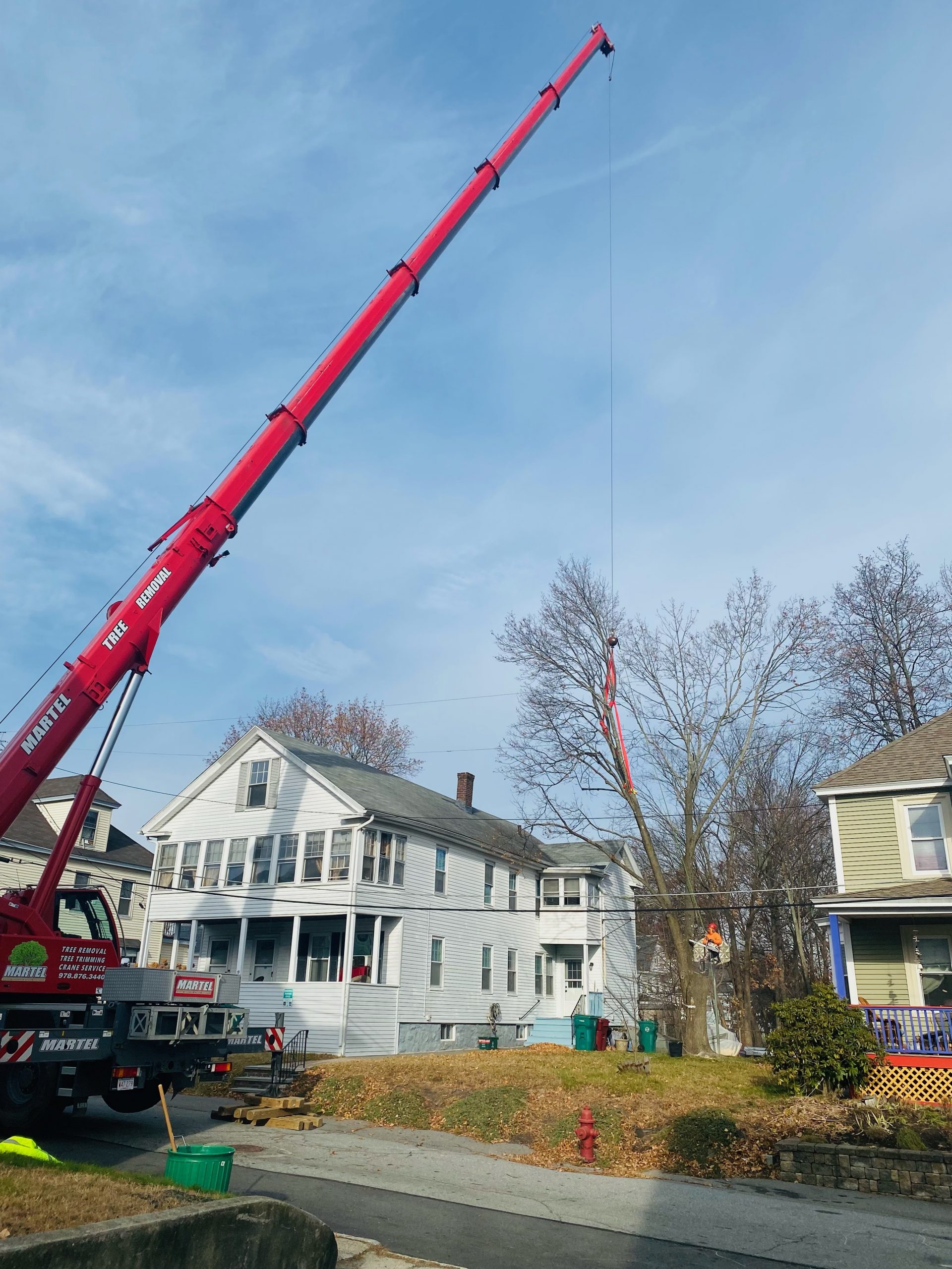 Tree Removal and Crane Service in Lowell, MA.