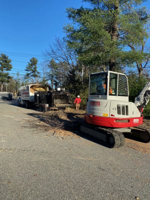 Tree Removal and Crane Rental in Billerica, MA.