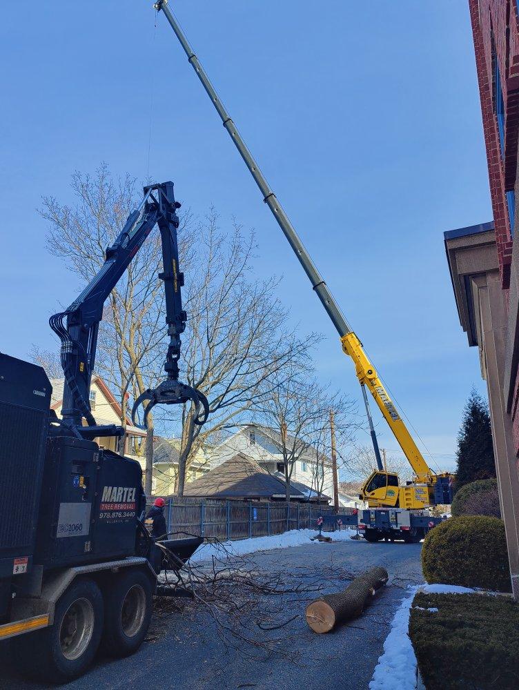 We setup behind this tight neighborhood in Medford, MA to remove trees from a residential property.