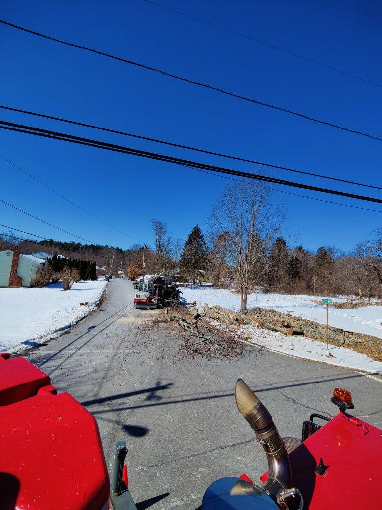 Lot Clearing and Tree Removal in Tewksbury, MA.