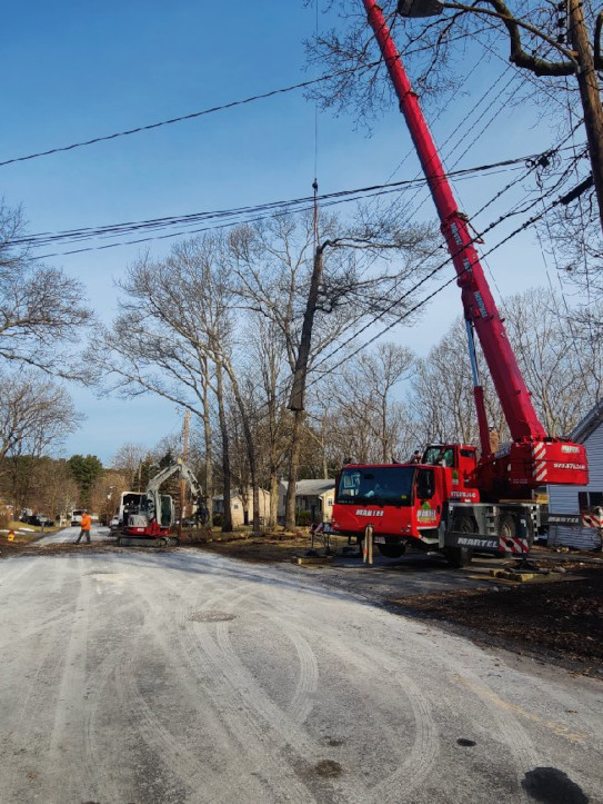 Tree Removal Service in North Billerica, MA.