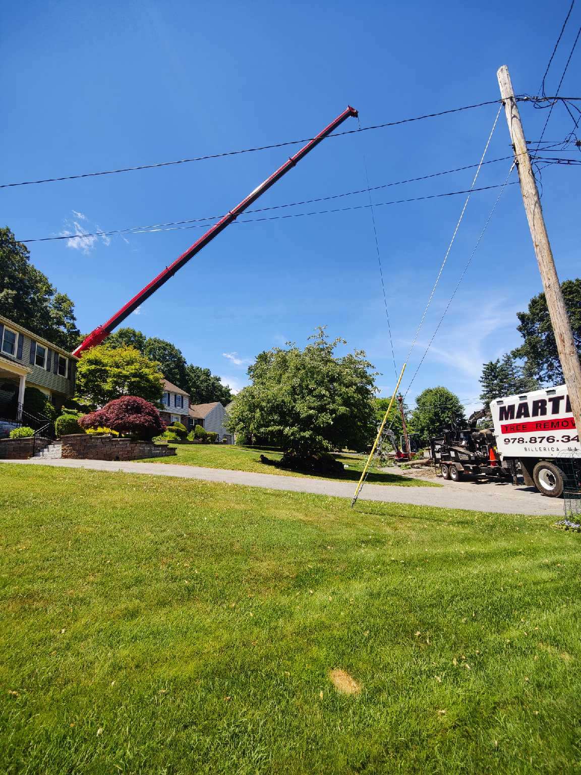 Tree Service and Removal in Tewksbury, MA.