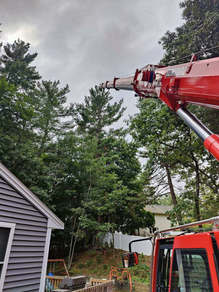 Tree Removal and Crane Service in North Billerica, MA.