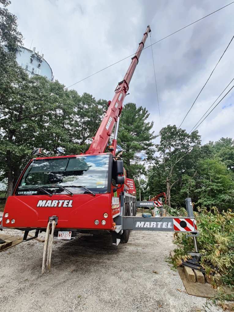 Lot Clearing and Tree Removal in Billerica, MA.