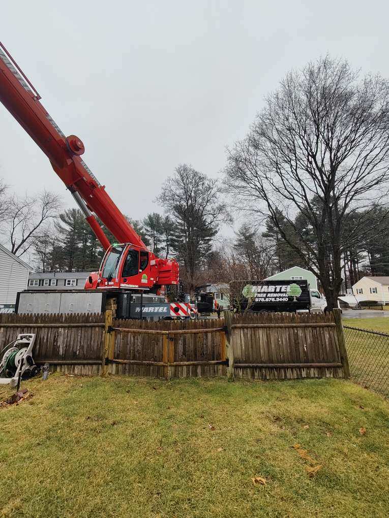 Martel Crane and Tree removed trees from this residential property in Tewksbury, MA.
