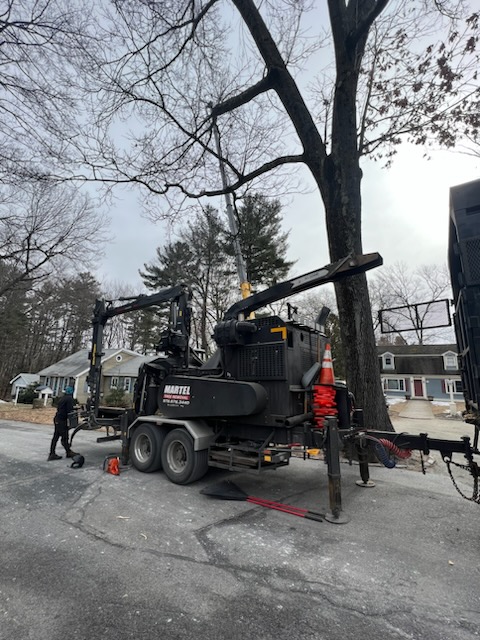 Martel Crane and Tree Service removed large trees from this property in Westford, MA. 