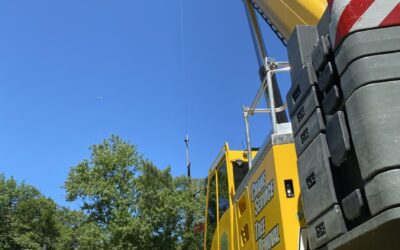 Lot Clearing and Tree Removal in Chelmsford, MA