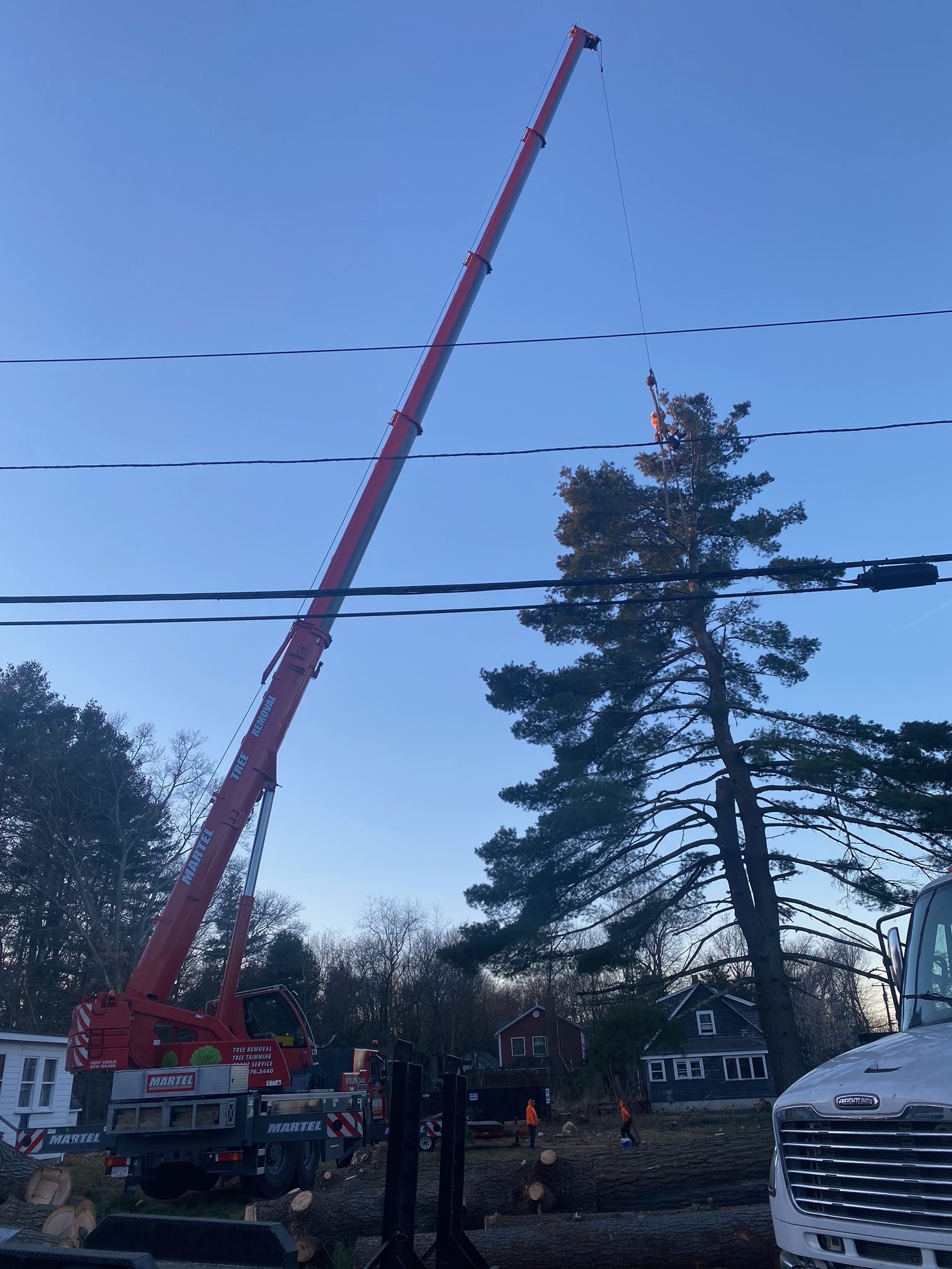 Tree Removal and Crane Rental in Billerica, MA.