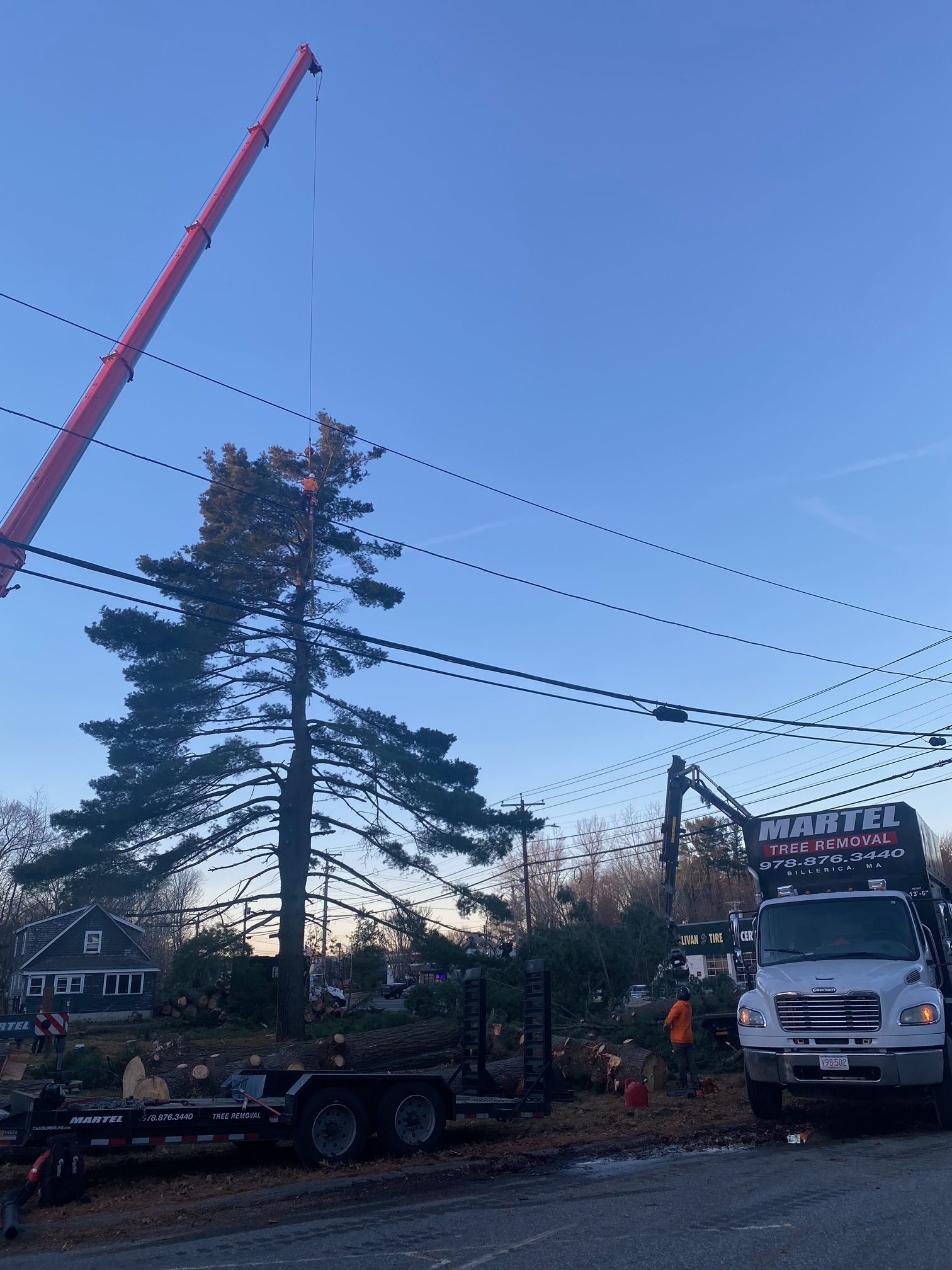 Tree Removal and Crane Rental in Billerica, MA.