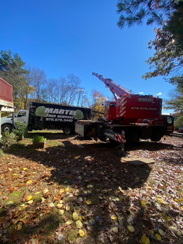 Tree Removal Service in Andover, MA