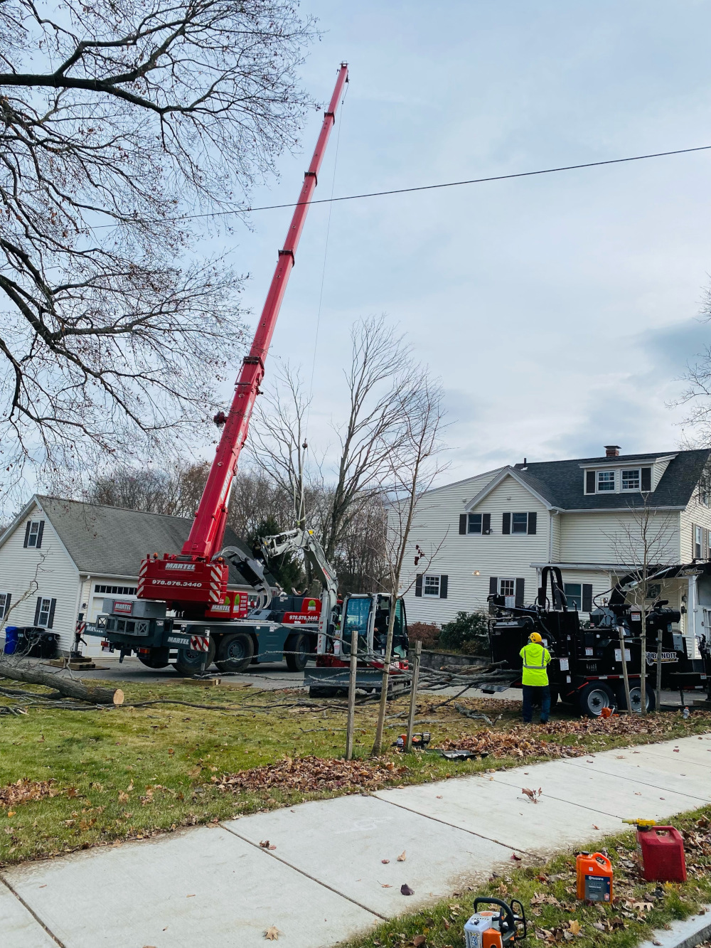 The new red crane and crew removed multiple trees at this location in Bedford, MA.