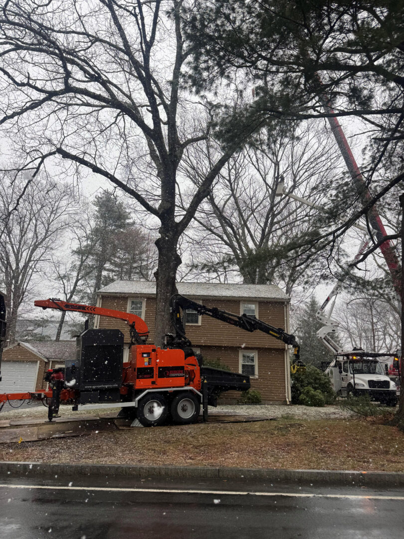 Tree Trimming & Bucket Work in Lexington, MA. 