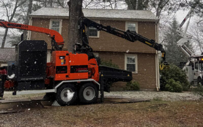 Tree Trimming & Bucket Work in Lexington, MA.