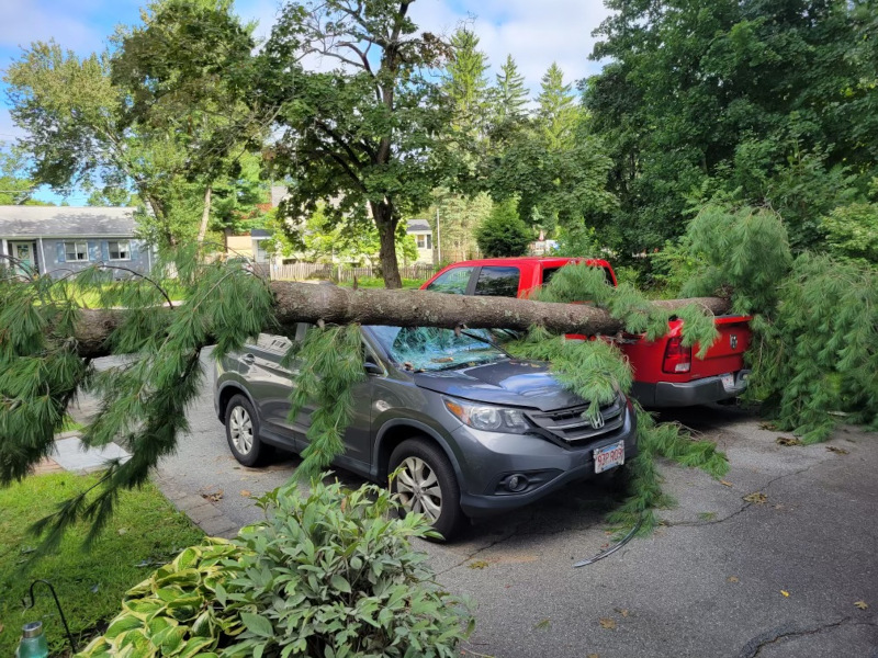 Tree Removal and Storm Damage in Chelmsford, MA.