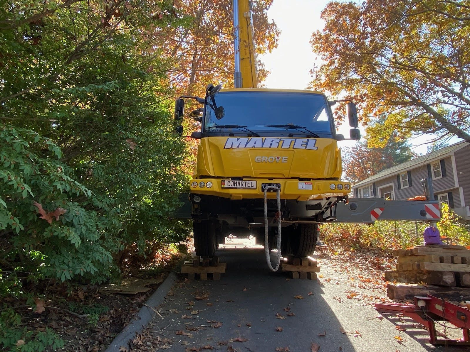 Tree Service and Removal in Billerica, MA