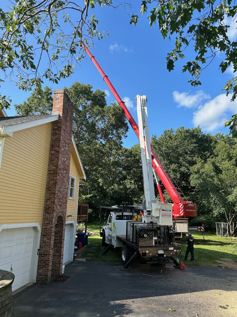  

Martel Crane Service & Tree Removal used one of our cranes along with a bucket truck to remove trees from around this yard in Chelmsford, MA.

Call Martel Crane Service & Tree Removal for tree removal service whether you are enhancing your property or have damage from wind and seasonal storms. We utilize our own cranes, bucket trucks and chippers to handle any job.