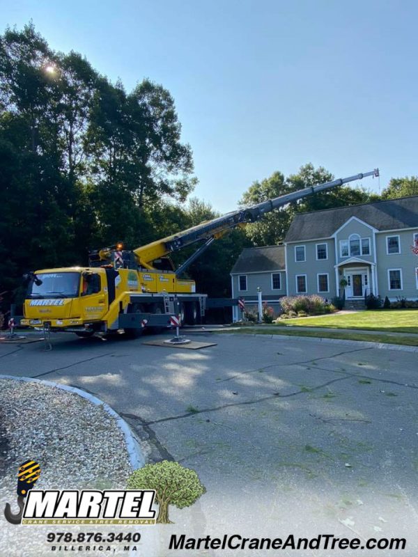 Reaching some far away trees from our customers driveway to prevent any lawn damage to their property in Arlington, Massachusetts.  