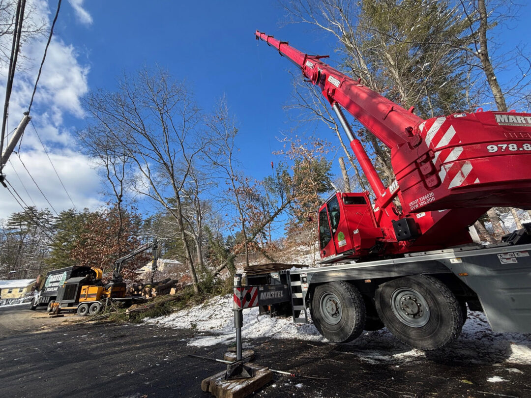 Tree Removal and Storm Damage Cleanup in Chelmsford, MA